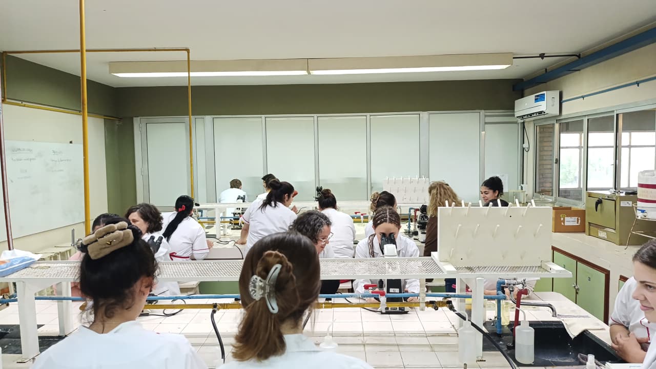 Práctica de laboratorio - Imagen 4